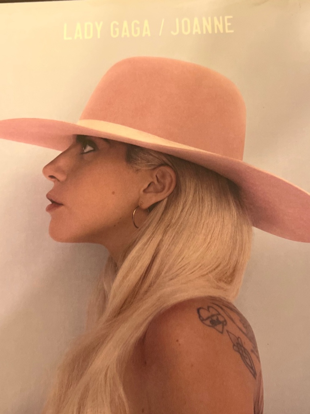 Lady Gaga vinyl record